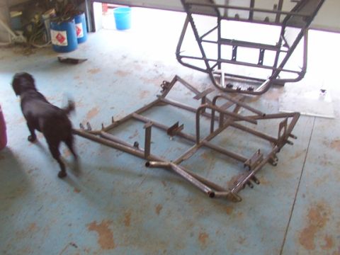 1978 Ford Bronco - A dog walks past a metal frame in a garage. Another frame is visible in the background.