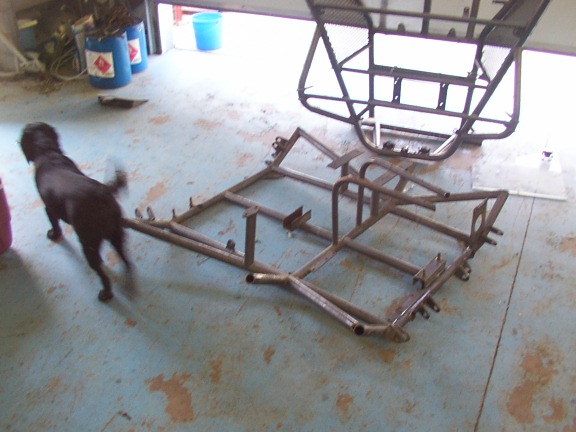 dog near metal frame in garage