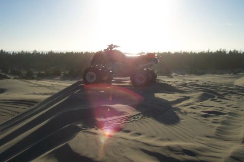 1994 Ford F-150 - A quad bike is positioned on a sand dune with a forest in the background under a bright sun.