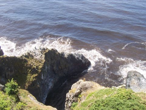 1994 Ford F-150 - Waves break against the rocky coastline, with a small tree on the cliff edge.
