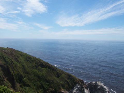 1994 Ford F-150 - A vast expanse of blue ocean meets the sky, with a lush green cliff in the foreground.