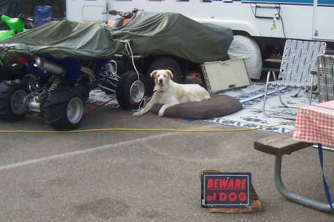 1994 Ford F-150 - A dog relaxes on its bed next to ATVs covered with a tarp, with an RV in the background.