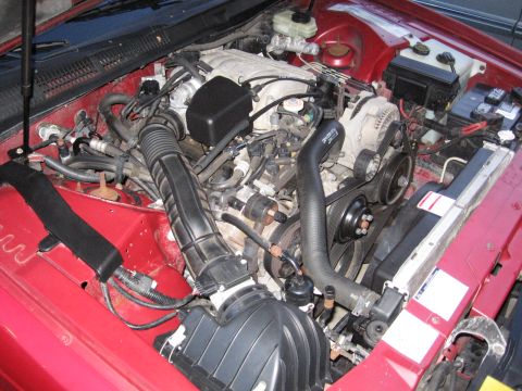 1995 Ford Thunderbird - The engine bay of a 1995 Ford Thunderbird, showing the V8 engine and associated components.