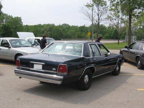 dave's 91 CVPI