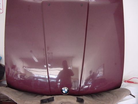 1984 BMW 3 Series - The BMW emblem is visible on the car hood, which is resting on a stand.