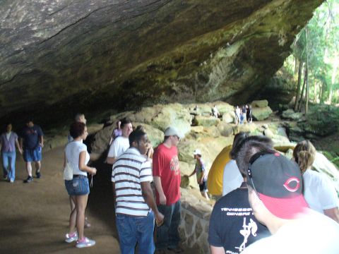1991 Ford Probe - A group of tourists walks through a cavernous space with natural rock formations and vegetation visible trees outside foliage outside folia…