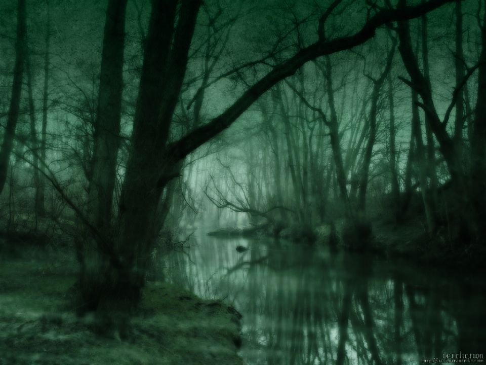 Green-toned moody artwork of a misty swamp with bare trees reflected in dark still water