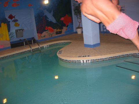 1989 Ford Bronco - Who puts pools next to bars? This is the last picture my camera took before I was dragged into the pool...RIP camera and phone...