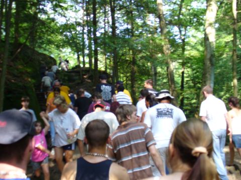 1991 Ford Probe - A group of people ascend a wooden staircase on a trail surrounded by trees.