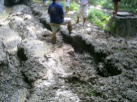 1979 Ford Bronco - ruts.............