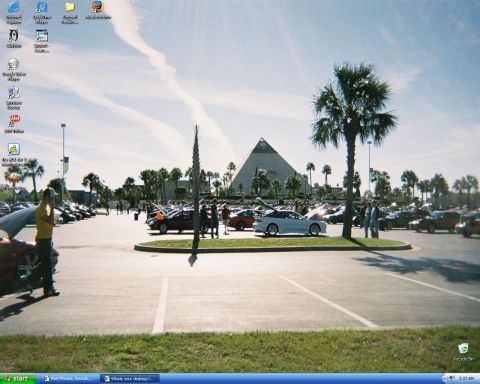 1991 Ford Probe - Windows XP desktop screenshot whose wallpaper is a car-show meet in a palm-lined parking lot, with second-generation Ford Probe coupes in w…