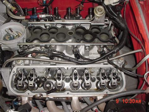 1993 Ford Mustang - Close-up view of a V8 engine's valve train, with the intake manifold removed.