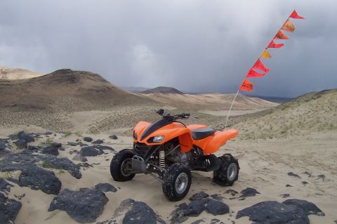 1994 Ford F-150 - ATV with flags in a desert landscape under a cloudy sky.