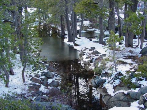 1986 Ford Bronco - A winter scene in a forest with snow on the ground and a partially frozen stream.