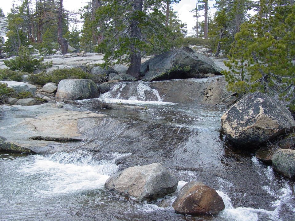 Rocky stream with whitewater rapids flowing over stones, surrounded by pine trees and boulders