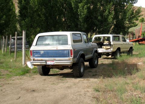 1979 Ford Bronco - Two Ford Broncos are parked in a grassy area. The rear of the first Bronco is visible, and it appears to be towing the second Bronco.