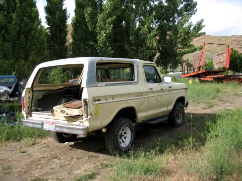 1979 Ford Bronco - This weathered Ford Bronco sits in a grassy, outdoor area, with trees and a trailer in the background.