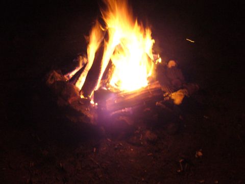 1991 Ford Probe - A bright campfire burns at night, illuminating the logs and surrounding dark ground.