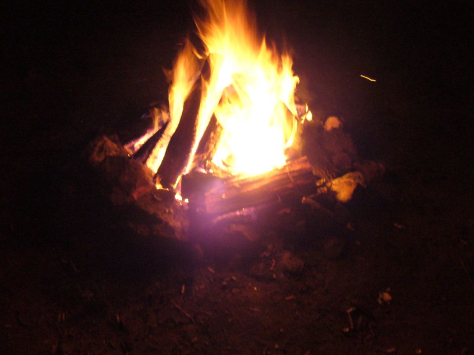 Campfire at night with flames and logs