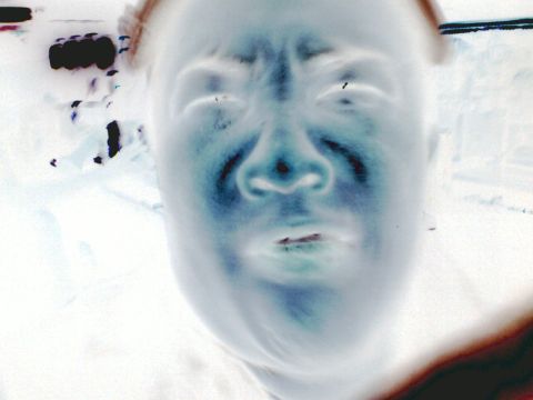 2001 Ford Crown Victoria - This is an inverted photo of a person's face, with a website logo visible.