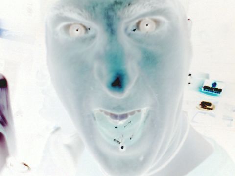 2001 Ford Crown Victoria - This is an inverted photograph of a person's face, not a vehicle.