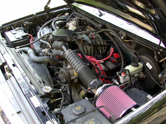 V8 engine bay with red cone air filter, corrugated intake tube and red spark plug wires