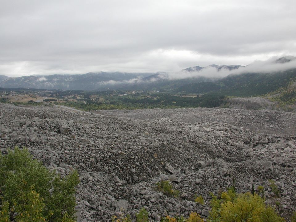 rockslide debris field with trees and mountains in background