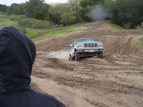1995 Ford Bronco “sprky”