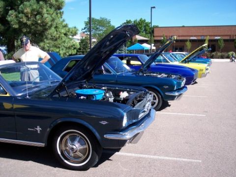 1972 Ford Ranchero - Several classic cars are lined up with their hoods open at an outdoor car show.
