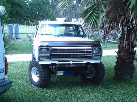 1986 Ford Bronco - This lifted pickup truck is parked on a grassy lawn next to a palm tree.
