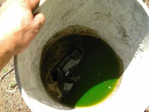 1986 Ford Bronco - A hand holds a bucket containing green liquid and dark, unidentifiable submerged parts.