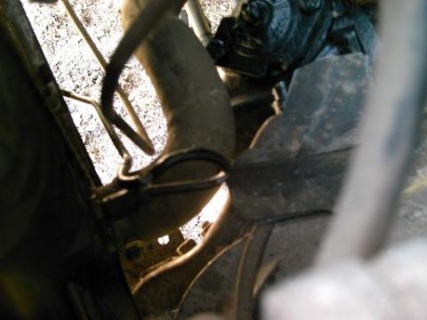 1986 Ford Bronco - A close-up view of a hose clamp securing a hose in the engine compartment of a vehicle.