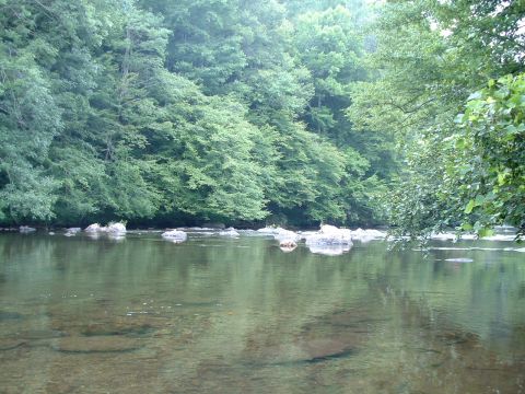 1995 Ford Bronco - A tranquil river scene with lush green trees lining the banks and rocks visible in the clear water. The Supermotors logo is present in the…