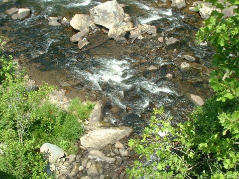 1995 Ford Bronco - A scenic view of a river flowing over rocks, surrounded by lush green vegetation.