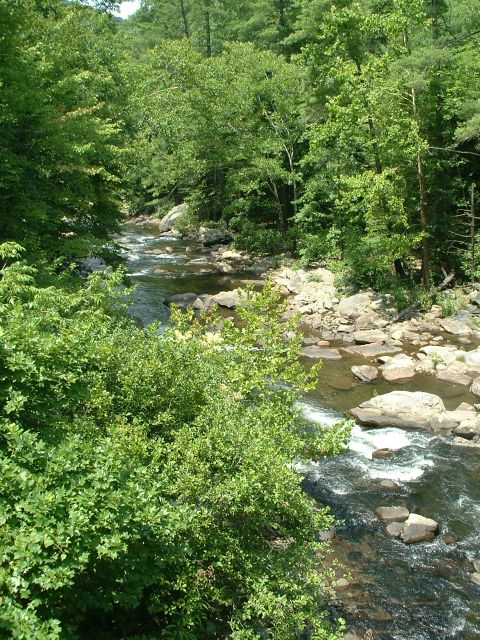 1995 Ford Bronco - A scenic view of a river winding through a forest, with rocks and trees lining the banks.