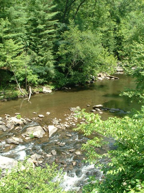 1995 Ford Bronco - A river flows through a wooded area, with rocks and rapids visible. Watermark present.