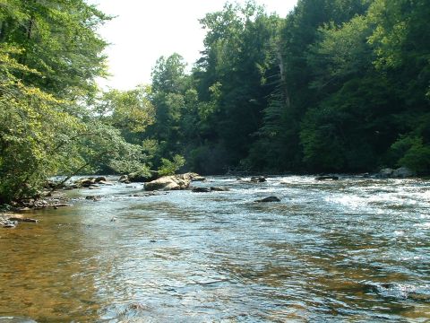 1995 Ford Bronco - A scenic view of a river winding through a wooded area on a sunny day.