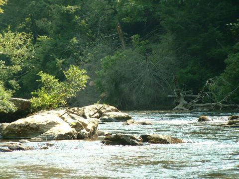 1995 Ford Bronco - A scenic view of a river flowing over rocks, surrounded by lush green trees.