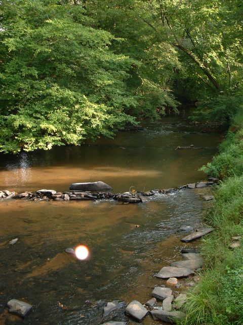 1995 Ford Bronco - A peaceful river winds through a lush green forest, with rocks forming a small dam in the water.