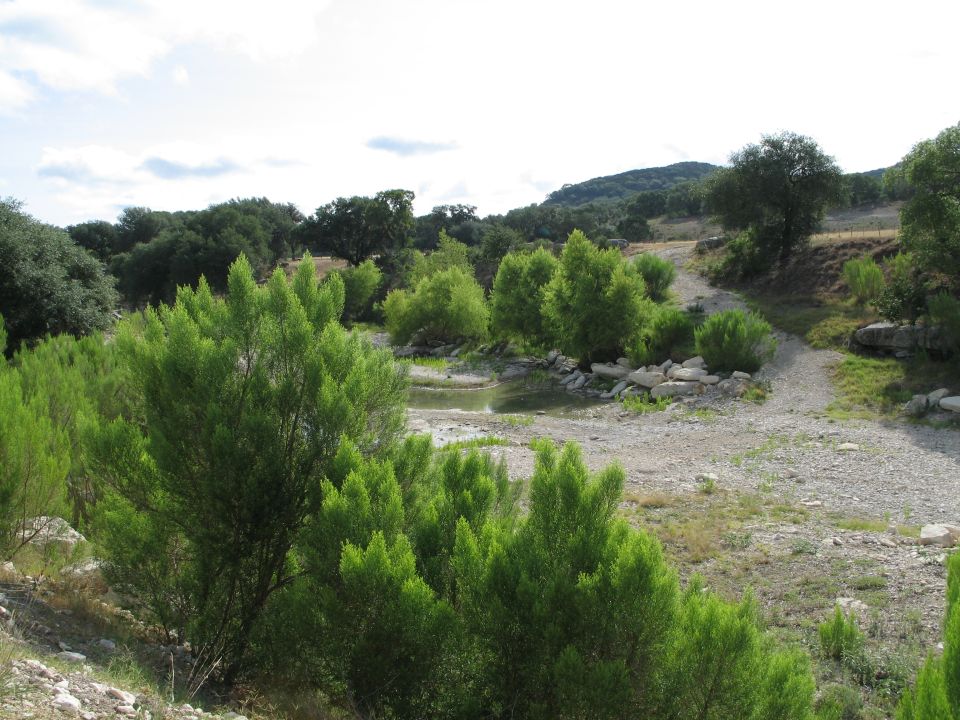 Overcast sky above a dry creek bed with green bushes and trees, a small pond, and a dirt path leading uphill