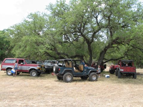 1995 Ford Bronco - Multiple off-road vehicles are gathered in a grassy area beneath a large, leafy tree.