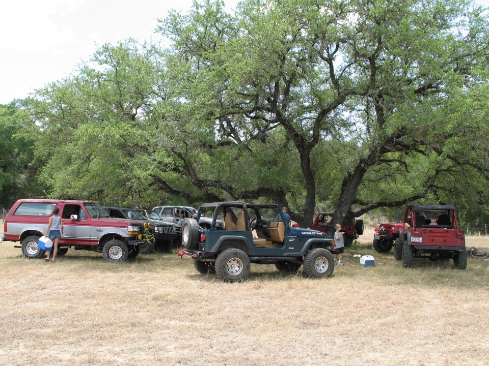 several Jeeps and a red SUV parked under a large tree