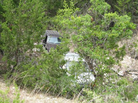 1995 Ford Bronco - A dark SUV and a white trailer are overgrown with vegetation, suggesting they have been abandoned.