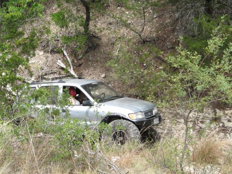 1995 Ford Bronco - A silver SUV is seen off-roading through a wooded, rocky area, partially obscured by foliage.