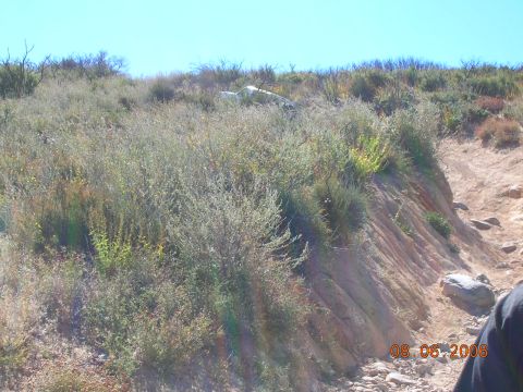 1985 Ford Bronco - A vehicle lies abandoned on a steep, overgrown hillside.