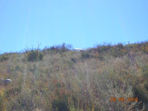 1985 Ford Bronco - A white SUV is visible on a hillside covered in dry brush and grass.