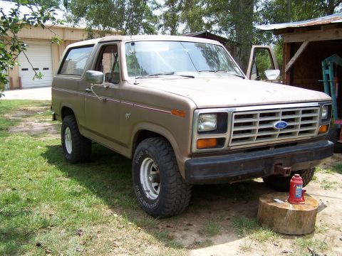 1981 Ford Bronco