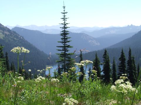 1979 Ford Bronco - A scenic view of layered mountains under a clear blue sky, with a tranquil lake visible between forested slopes.