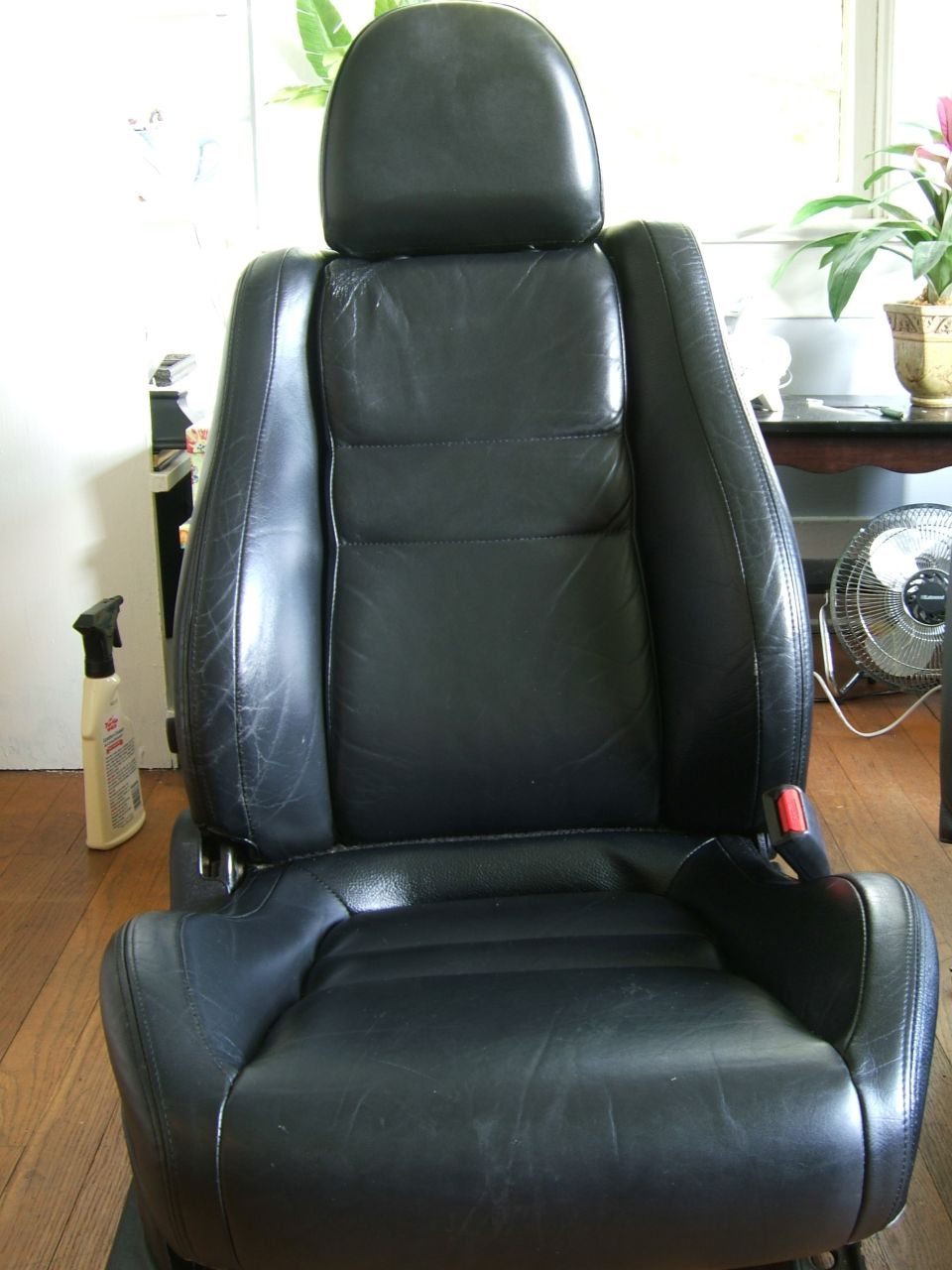 Black leather car seat with headrest and red seatbelt buckle