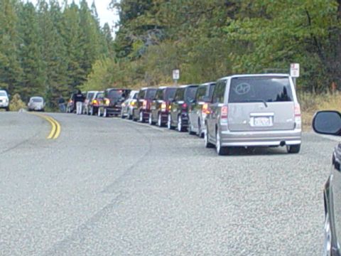 1993 Ford Taurus - A line of Scion xB vehicles are parked on the side of a road with trees in the background.